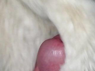 Cumming On My Sisters Fur Coat